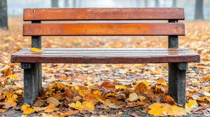 Empty park bench in autumn leaves
