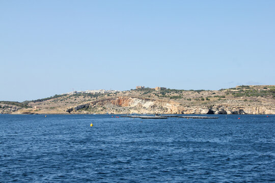Malta