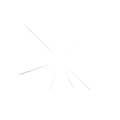 Palm leaves leaf shadow on 