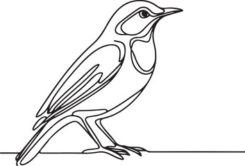 Thrush Bird Line Art – Clean and Simple Vector Illustration