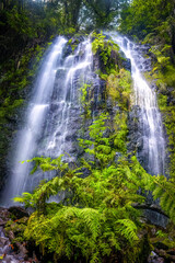 Obraz premium Madeira waterfall on a hiking route portugal 