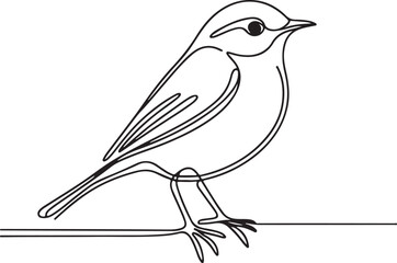 Elegant Warbler Line Art – Vector Bird Sketch