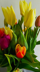 bouquet of tulips
