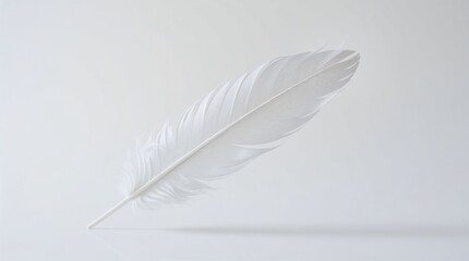 Pristine White Feather Floating on Soft Background  