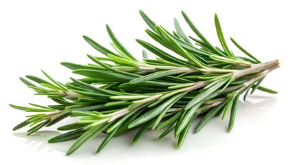 Fototapeta premium rosemary on white background
