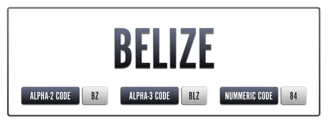 Belize. Illustration with ISO 3166-1 Country Code.  ISO Alpha-2, Alpha-3 and Numeric code. Two three letters and numbers.