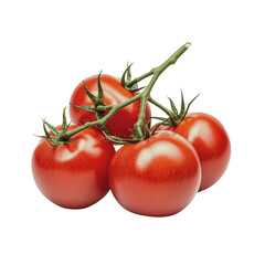 Vine Tomatoes on Branch