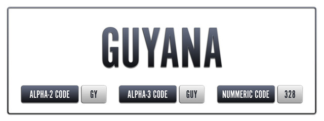 Guyana. Illustration with ISO 3166-1 Country Code.  ISO Alpha-2, Alpha-3 and Numeric code. Two three letters and numbers.