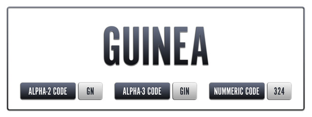 Guinea. Illustration with ISO 3166-1 Country Code.  ISO Alpha-2, Alpha-3 and Numeric code. Two three letters and numbers.