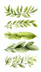Obraz premium Watercolor Botanical Leaf Arrangement
