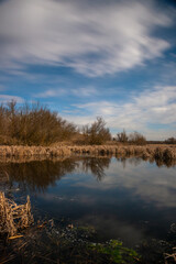 Night photography , landscape photography , lake in the forest , sky and clouds at night , stars on the sky 