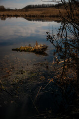 Night photography , landscape photography , lake in the forest , sky and clouds at night , stars on the sky 