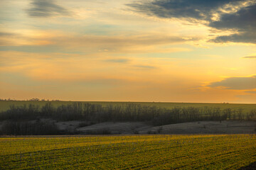 Obraz premium Beautiful field and nature at the spring evening.Sunset over the trees and green field.Landscape photography,sunny day , sunset and field with road 