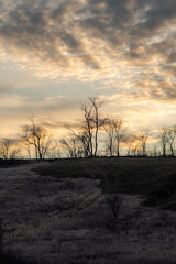 Fototapeta premium Landscape photo with beautiful sunset and clouds on the sky , field and trees , spring evening in the woodlands ,sun lights , beautiful nature 