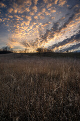 Fototapeta premium Landscape photo with beautiful sunset and clouds on the sky , field and trees , spring evening in the woodlands ,sun lights , beautiful nature 