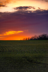 Sunset over the field , landscape photography in the forest, beautiful nature , clouds in the sky with sun and trees , green grass on the ground 