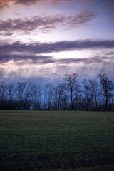 Sunset over the field , landscape photography in the forest, beautiful nature , clouds in the sky with sun and trees , green grass on the ground 