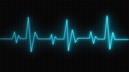 Digital Heartbeat Monitor Display