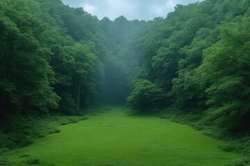 Lush green valley shrouded in mist.  Dense forest walls a vibrant, verdant scene