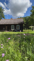Old wooden country house with bicycle in summer field with blooming wildflowers