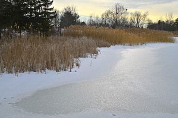 Reflection on the ice on the lake of a public park in winter.