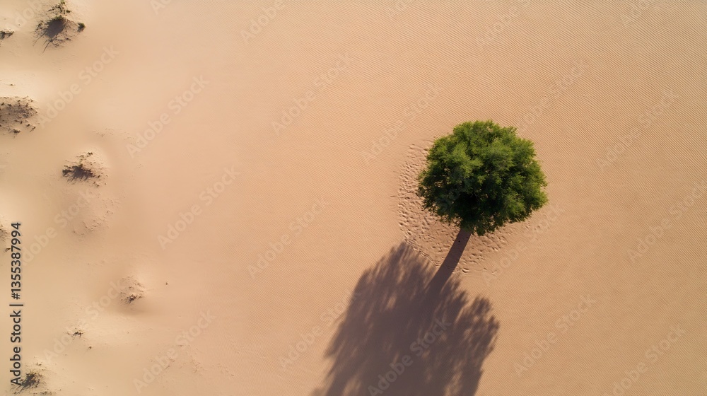 Poster Lonely tree casting a shadow over the sandy desert landscape from above : Generative AI