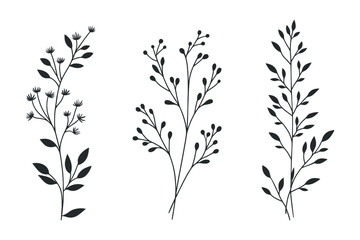 Fototapeta premium Set of elegant silhouettes of branches and leaves. Thin hand drawn vector botanical elements