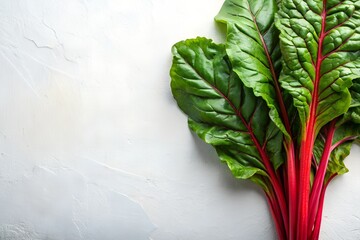 Swiss Chard on White Background