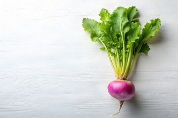 Turnip on White Background
