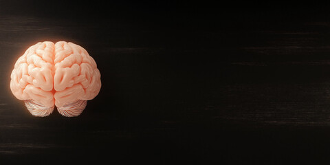Human brain model against a dark, textured background, showcasing its structure and anatomical details.