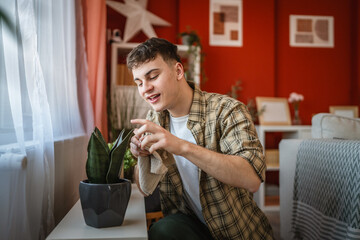 man do chores and dusting from plant leaf with rag in the living room