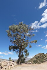 Obraz premium Flora, fauna, al aire libre, paseo, viaje, sierra, rocas, texturas de montaña, web, redes, digital