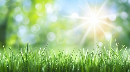 Obraz premium Lush Green Grass and Sunlight Background for Nature, Spring, and Outdoors Scenarios