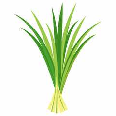 Obraz premium Lemongrass on a white background