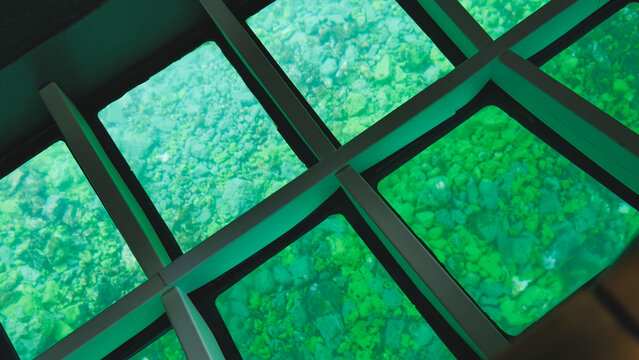 Square glass panels on the bottom of a boat reveal emerald green water and rocks below the surface