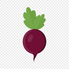 Red beet with leaves vector icon
