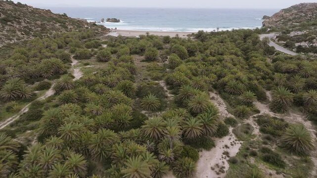 Crete Vai Beach Aerial View