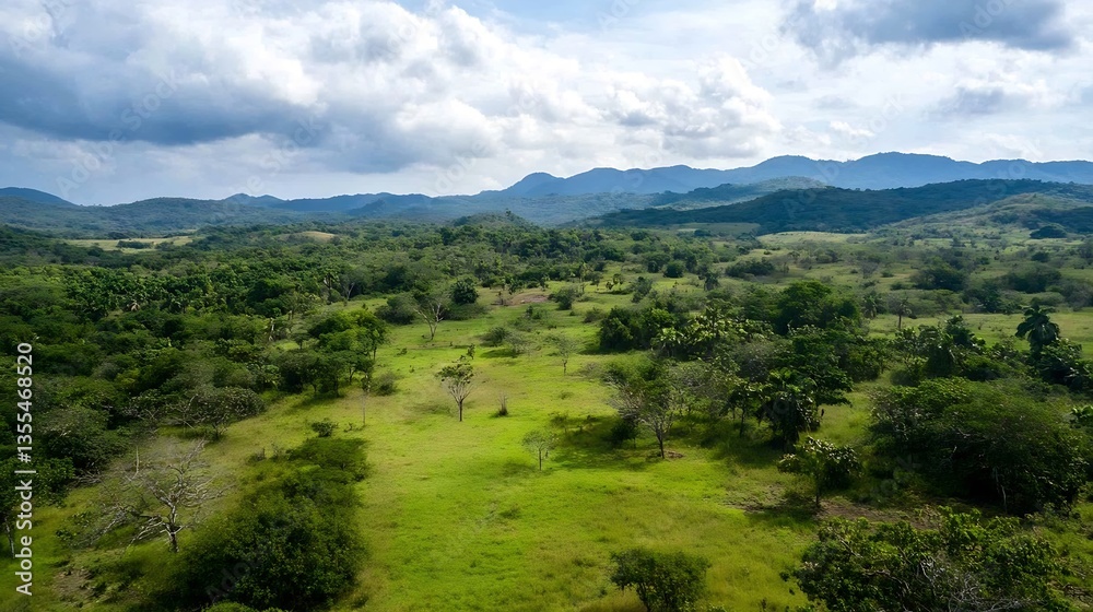 Poster Aerial view of lush green field with trees and mountains in the distance under a cloudy sky : Generative AI