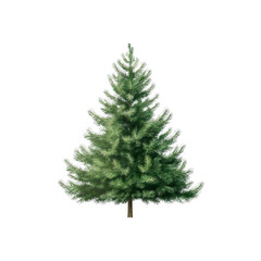Fototapeta premium A single isolated christmas tree with green needles standing against a black background in a studio shot