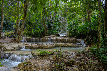Fototapeta premium Small Cascades and Forest Stream Flowing Through Dense Jungle at Kuang Si Falls near Luang Prabang, Laos