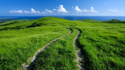 Fototapeta premium Green Grassy Hill and Winding Trail with Ocean View Under a Bright Blue Sky