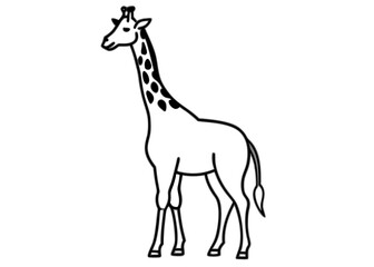 Gentle Giant Silhouette: An elegant giraffe stands tall, its iconic silhouette, representing the grace and charm of the African savanna.