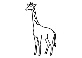 Fototapeta premium Giraffe Line Art: A minimalist black and white illustration of a towering giraffe. Perfect for educational purposes, children's books, or graphic design projects.