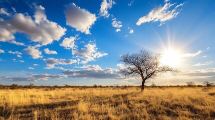 Stunning savanna landscape during sunset with vibrant clouds and a solitary tree in the foreground : Generative AI