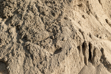 Close-up of coarse textured sand with natural patterns and shadows
