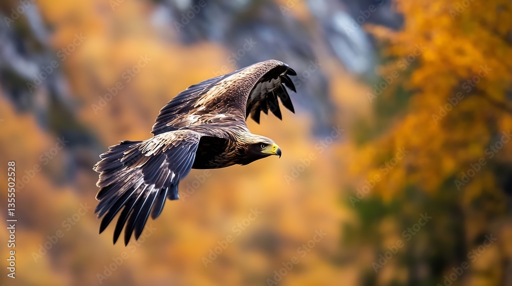Poster impressive closeup image of a majestic eagle soaring gracefully through the autumn trees capturing t