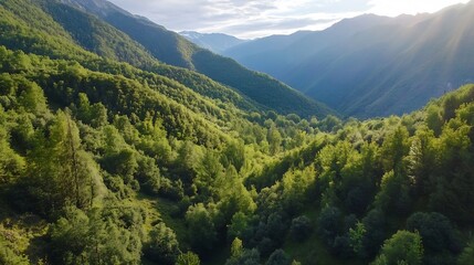 Fototapeta premium Breathtaking aerial view of lush green mountains and valleys surrounded by dense forests under a bright blue sky : Generative AI