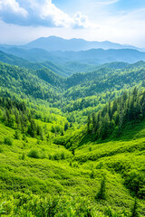 Naklejka premium Lush green mountain valley landscape, sunny day