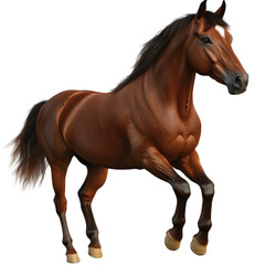 Obraz premium Elegant Brown Horse With A White Star On Its Forehead, Standing On Isolated Transparent or white Background