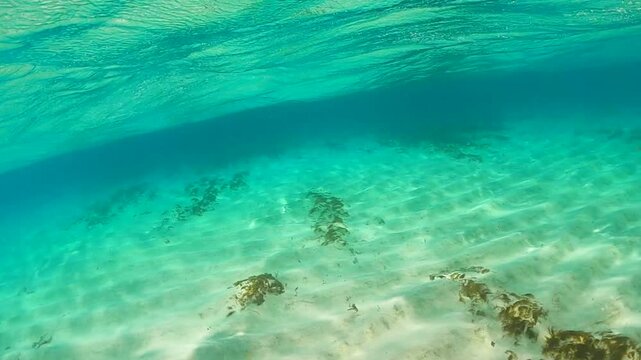 Horizontal Half Underwater Half Overwater Dome Port Turquoise Ocean Sandy Bottom